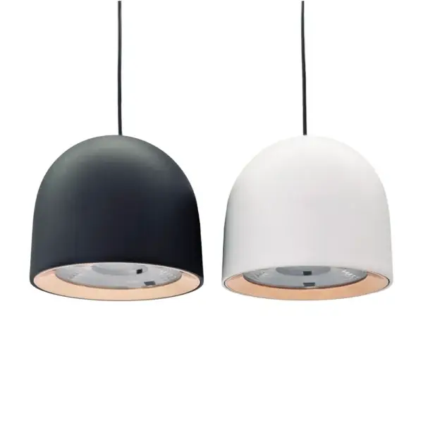 Magnetic pendant light