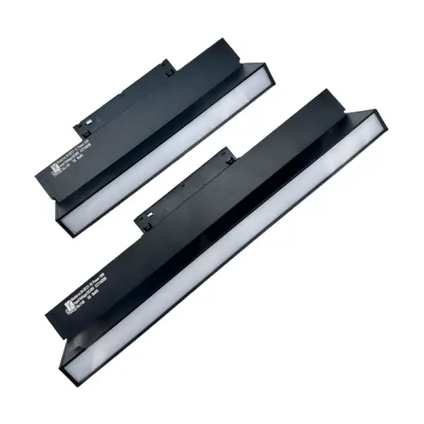 Magnetic flood light